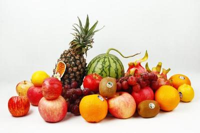 新年新“果”礼 跨越物种界限的温情馈赠