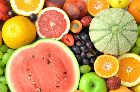 水果与无脊椎动物 自然界的多彩素材