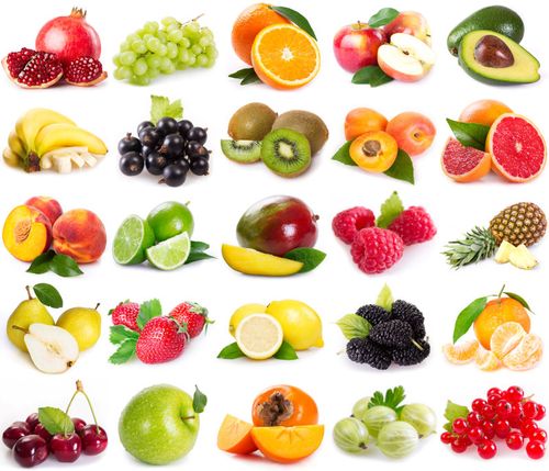 生机与静美 白色背景下的水果与无脊椎动物摄影素材赏析