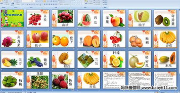 趣味探索 美味的水果与奇妙的无脊椎动物
